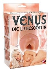 Wagina z Wibracją Venus Die Liebesgottin