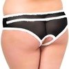 Figi Damskie Siateczkowe z Wycięciem SoftLine Plus Size 2471