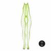 Neonowy Bodystocking Ouch! 835 Green 