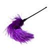 Piórko Do Pieszczot Purple Feather Tickler