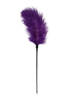 Piórko Do Pieszczot Purple Feather Tickler